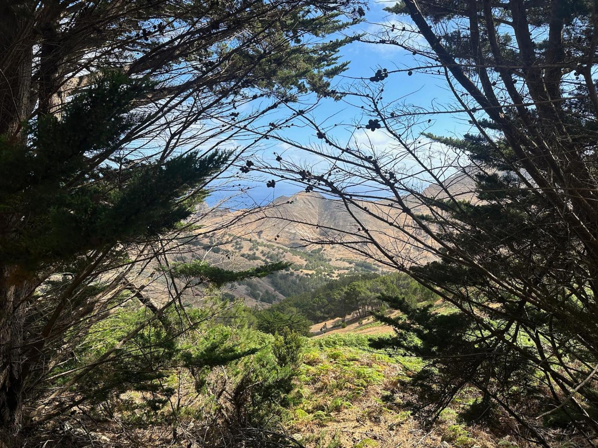 Profetas Guesthouse Porto Santo Eksteriør bilde